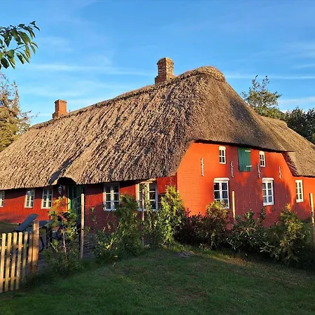 0108-romo-strommen-18 *